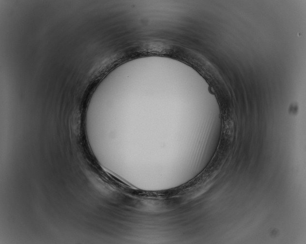 X0000101990552200808081638