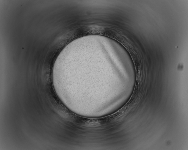 X0000101990553200808081638