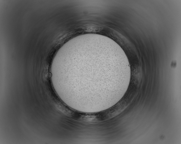 X0000101990554200808081638