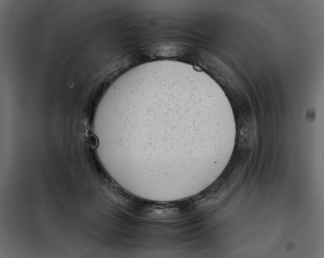 X0000101990555200808081638