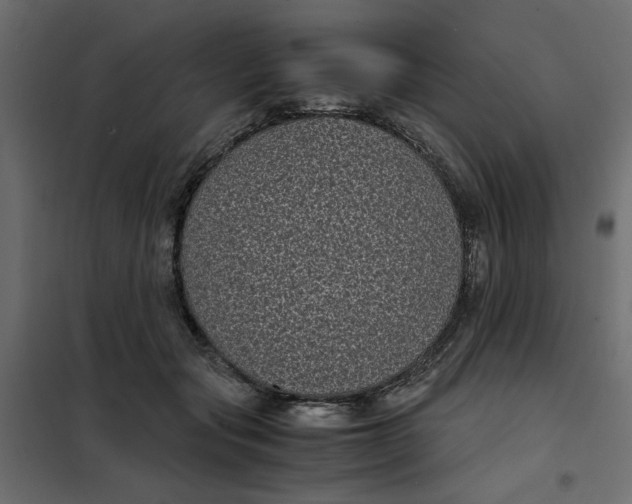 X0000101990557200808081638