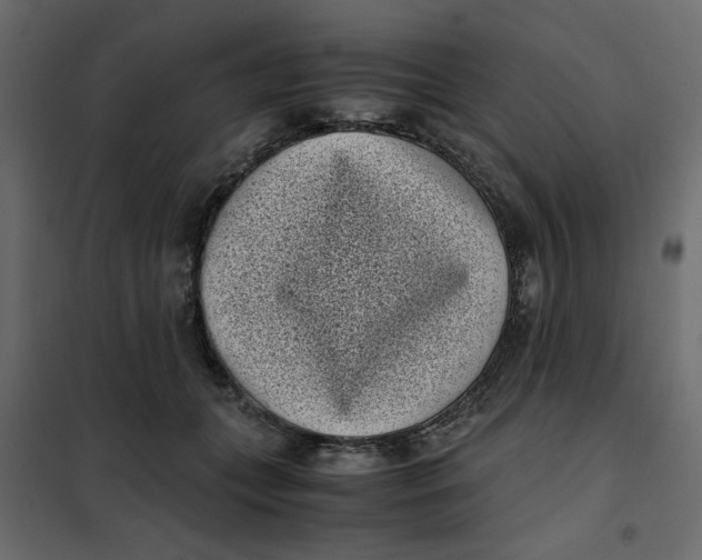 X0000101990559200808081638