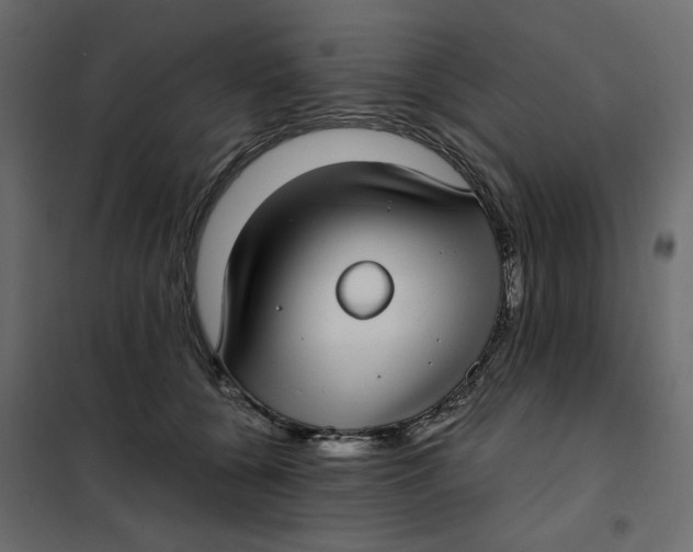 X0000101990560200808081638