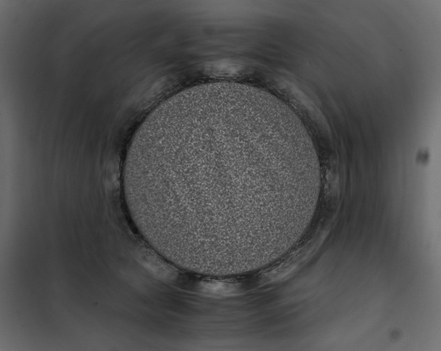 X0000101990561200808081638