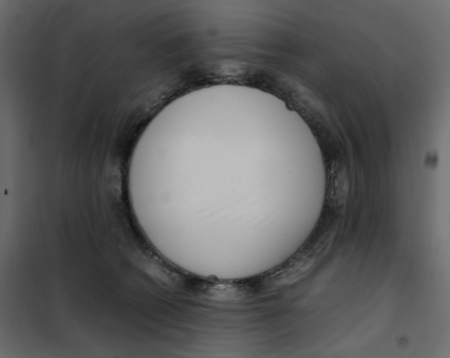 X0000101990562200808081638