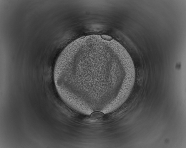 X0000101990563200808081638