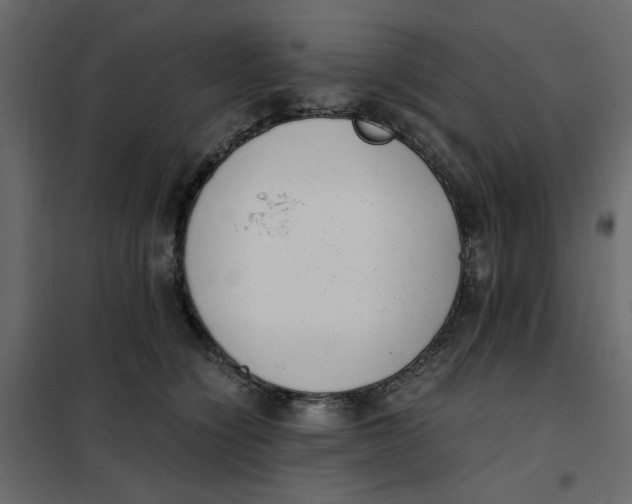 X0000101990564200808081639