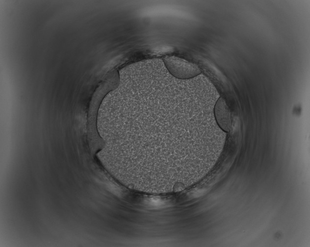 X0000101990565200808081639