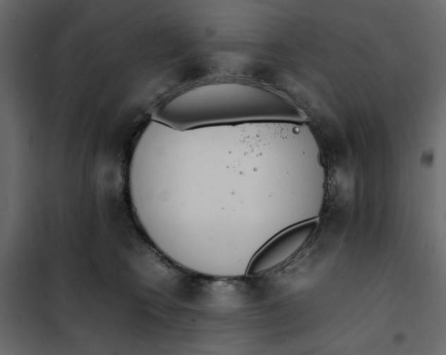 X0000101990566200808081639