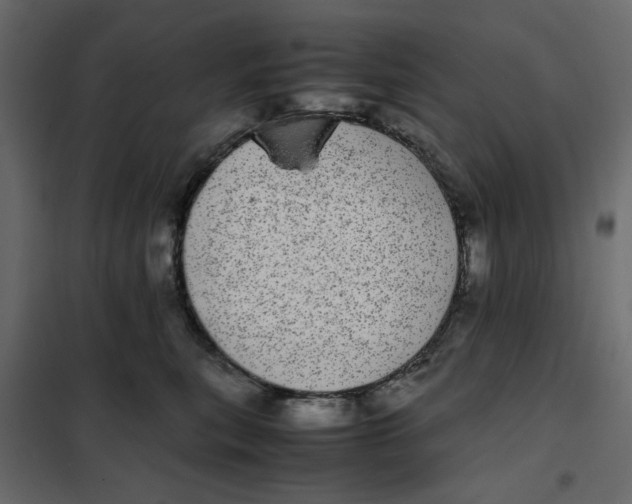 X0000101990567200808081639