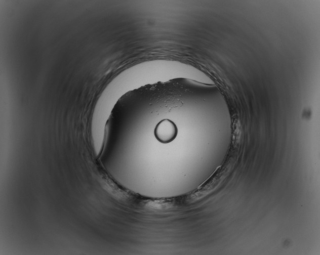 X0000101990568200808081639