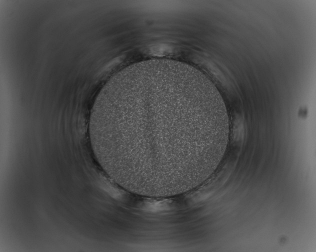 X0000101990569200808081639