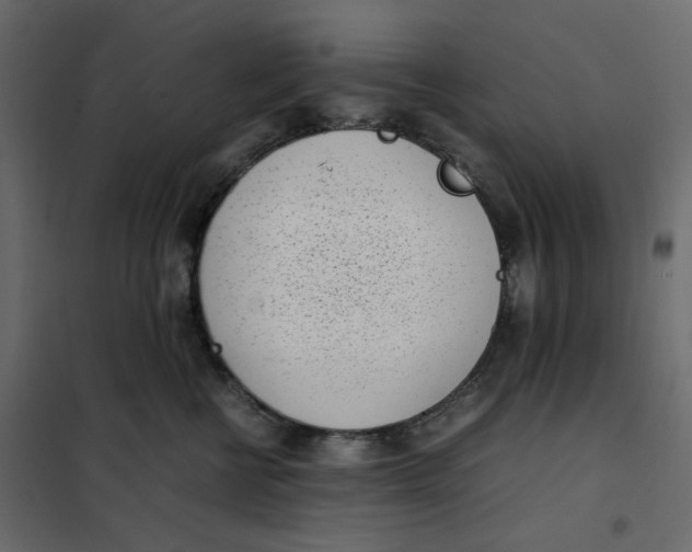 X0000101990570200808081639