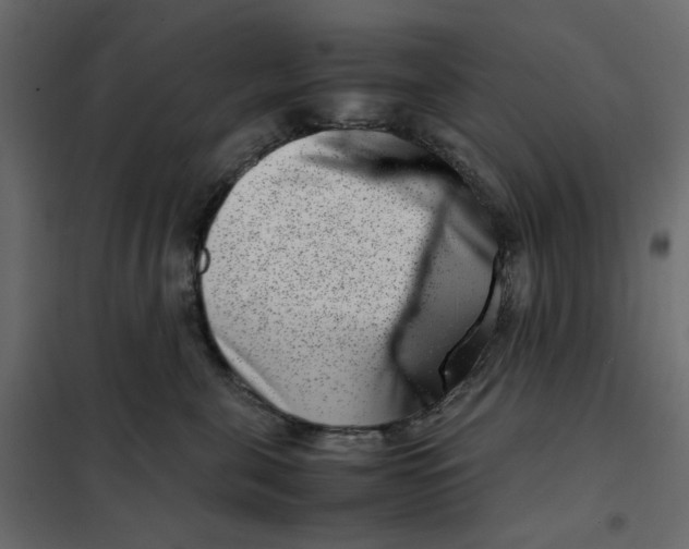 X0000101990571200808081639