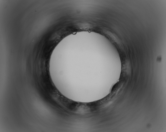 X0000101990572200808081639