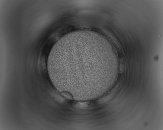 X0000101990573200808081639