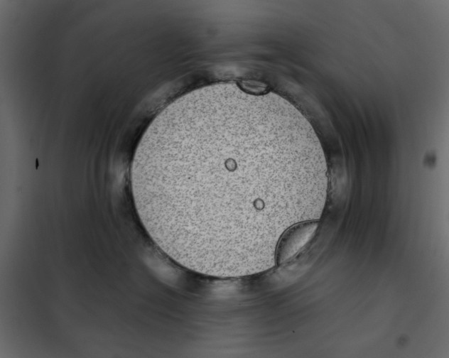 X0000101990574200808081639