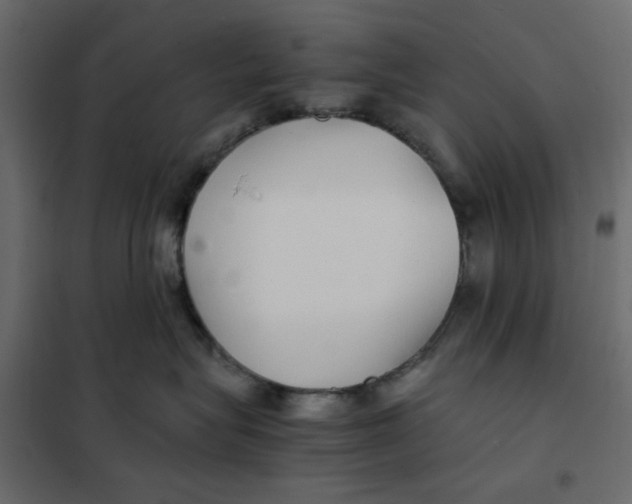 X0000101990575200808081639