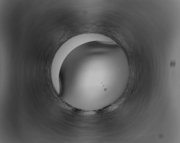 X0000101990576200808081639