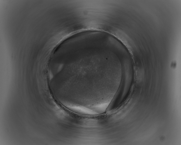 X0000101990577200808081638