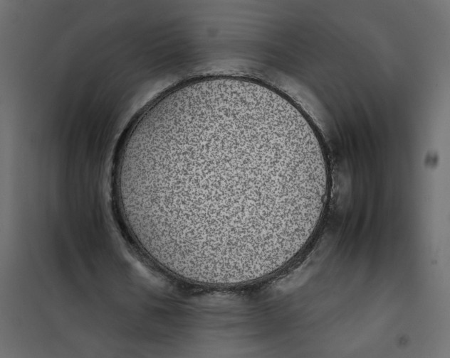 X0000101990578200808081638