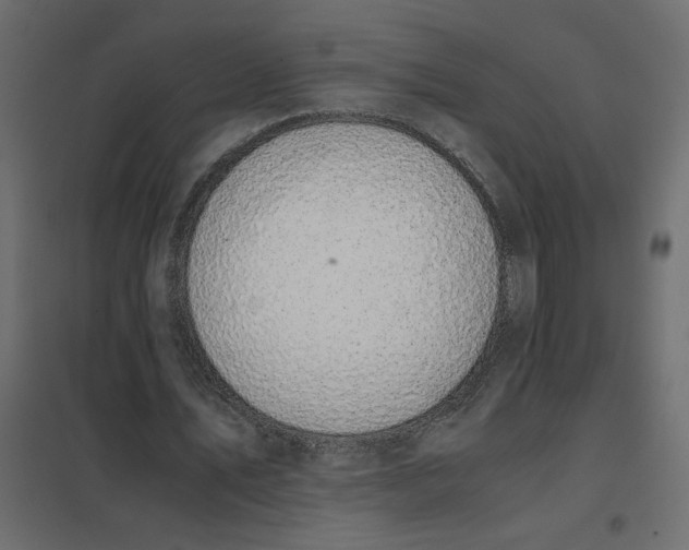 X0000101990579200808081638