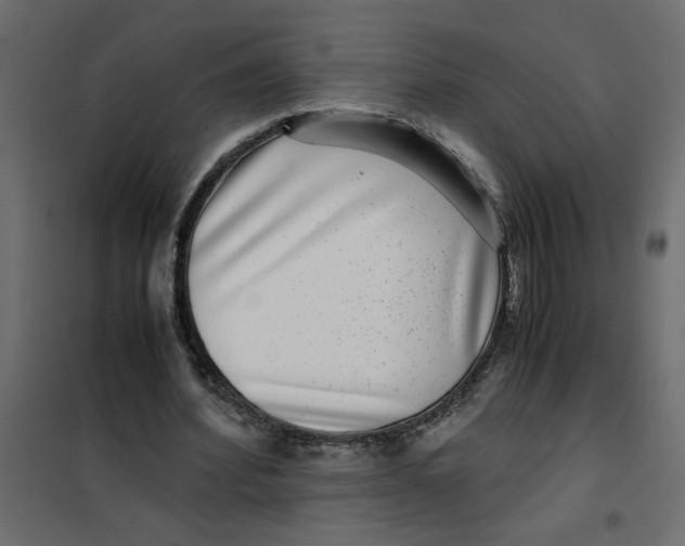 X0000101990580200808081638