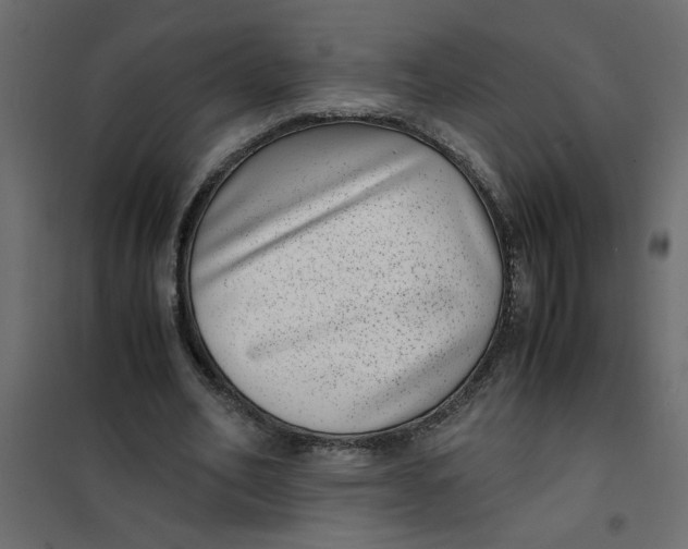 X0000101990582200808081638