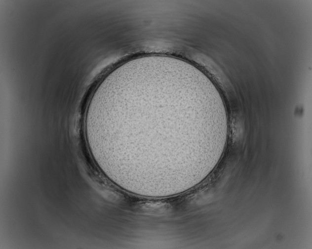 X0000101990583200808081637