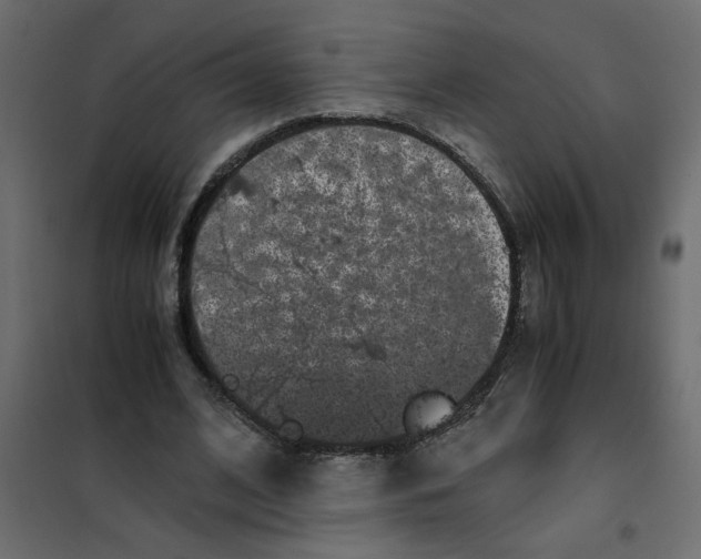 X0000101990584200808081637