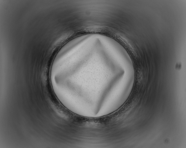 X0000101990586200808081637