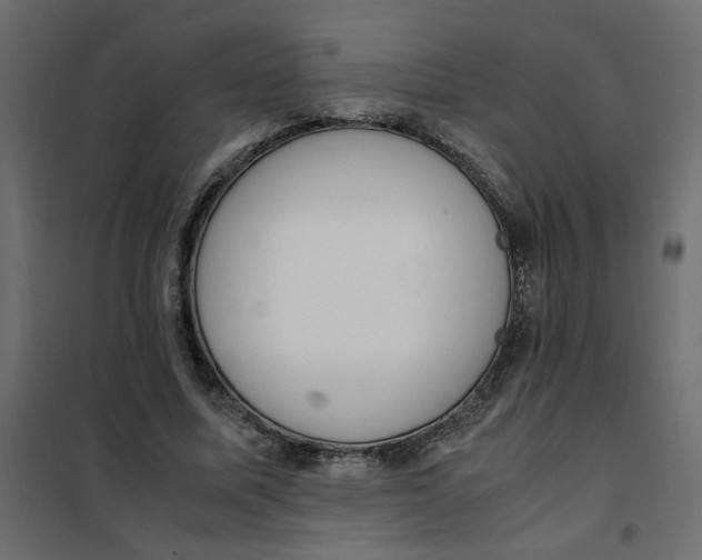 X0000101990587200808081637