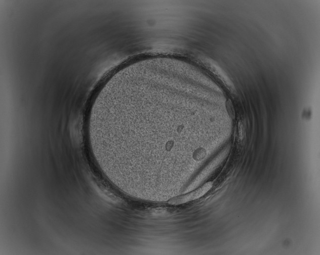 X0000101990588200808081637