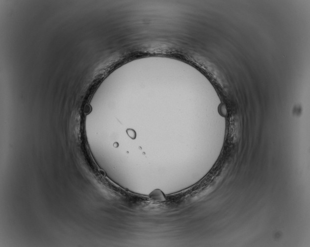 X0000101990589200808081637