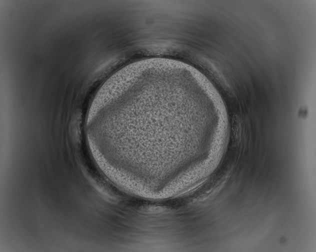 X0000101990590200808081637