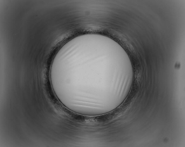 X0000101990591200808081637