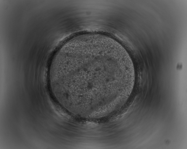 X0000101990592200808081637