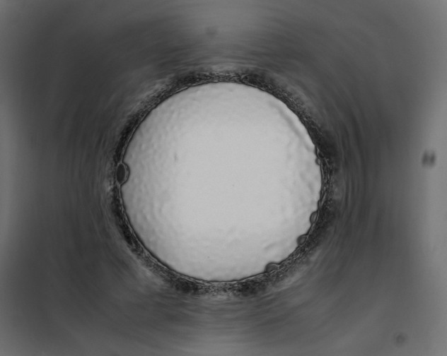 X0000101990593200808081637