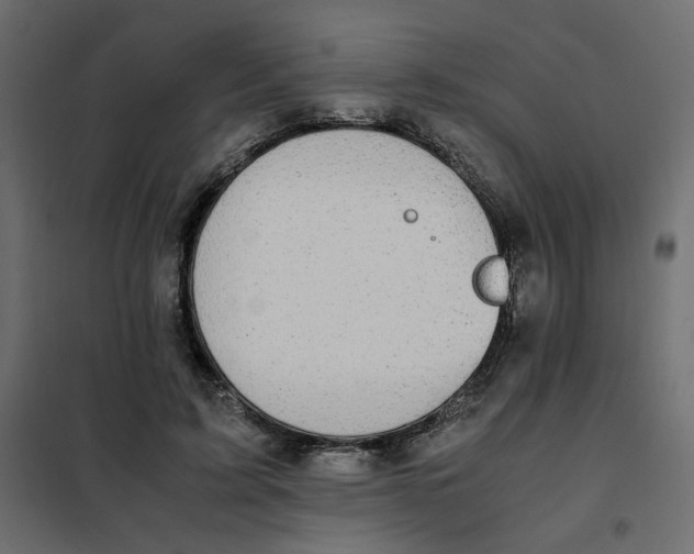 X0000101990595200808081637