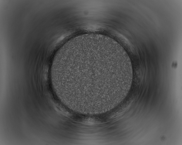 X0000101990596200808081637