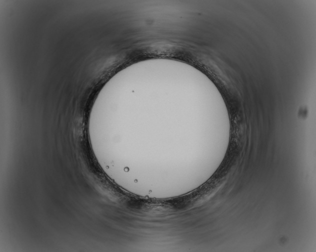 X0000101990597200808081637