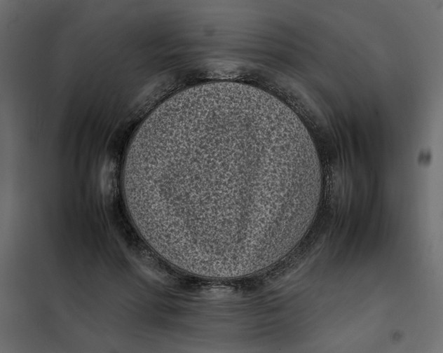 X0000101990598200808081637