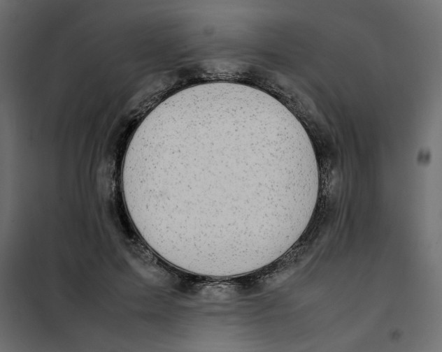 X0000101990599200808081637