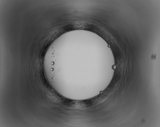 X0000101990601200808081637