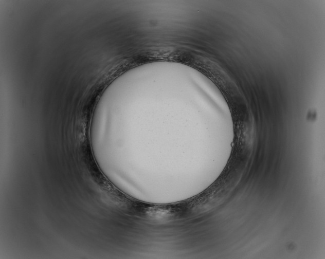 X0000101990602200808081637