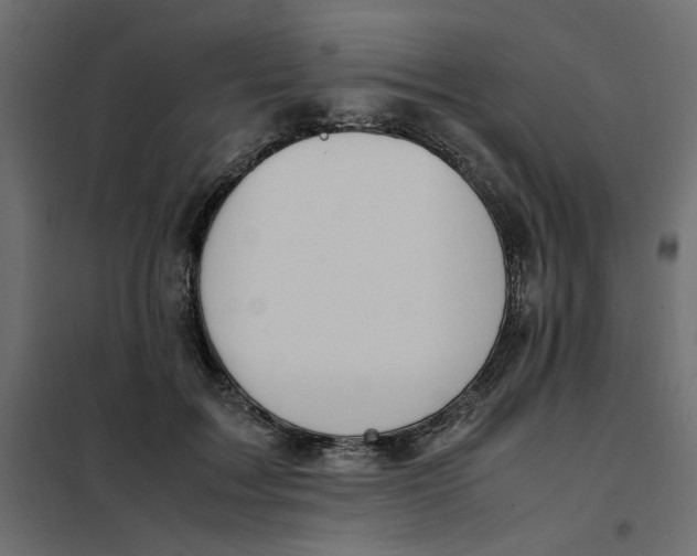 X0000101990603200808081637