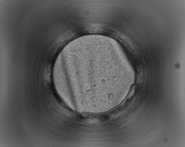 X0000101990604200808081637