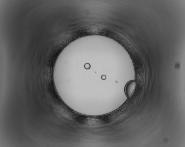 X0000101990605200808081637