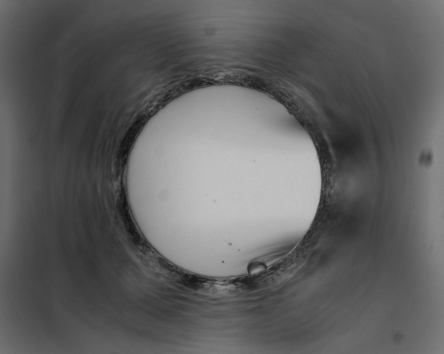 X0000101990607200808081637