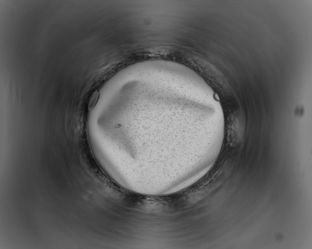 X0000101990608200808081637